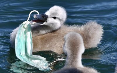 “Il nostro mondo”