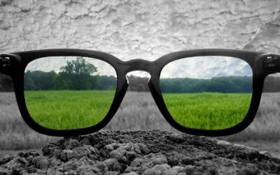 Te lo sei mai chiesto?